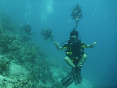 Bohol Dive Center Alona Filipinas Club Buceo 277