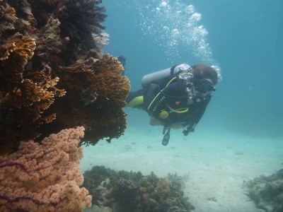 Bohol Dive Center Alona Filipinas Club Buceo 501