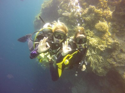 Bohol Dive Center Alona Filipinas Club Buceo 701