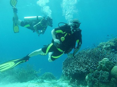 Bohol Dive Center Alona Filipinas Club Buceo 803