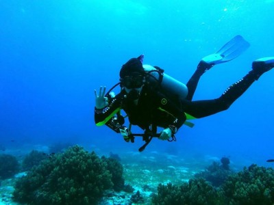 Bohol Dive Center Alona Filipinas Club Buceo 828