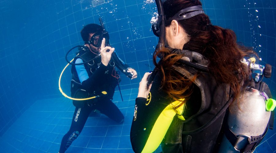 scuba diving in bohol plongee