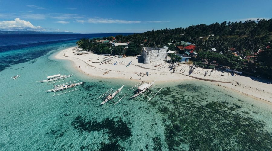 Pamilacan ile bohol panglao