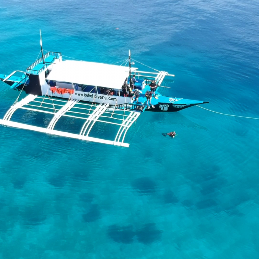 excursion d'une journée en bateau pour la plongée sous-marine à Bohol avec le Bohol Divers Club