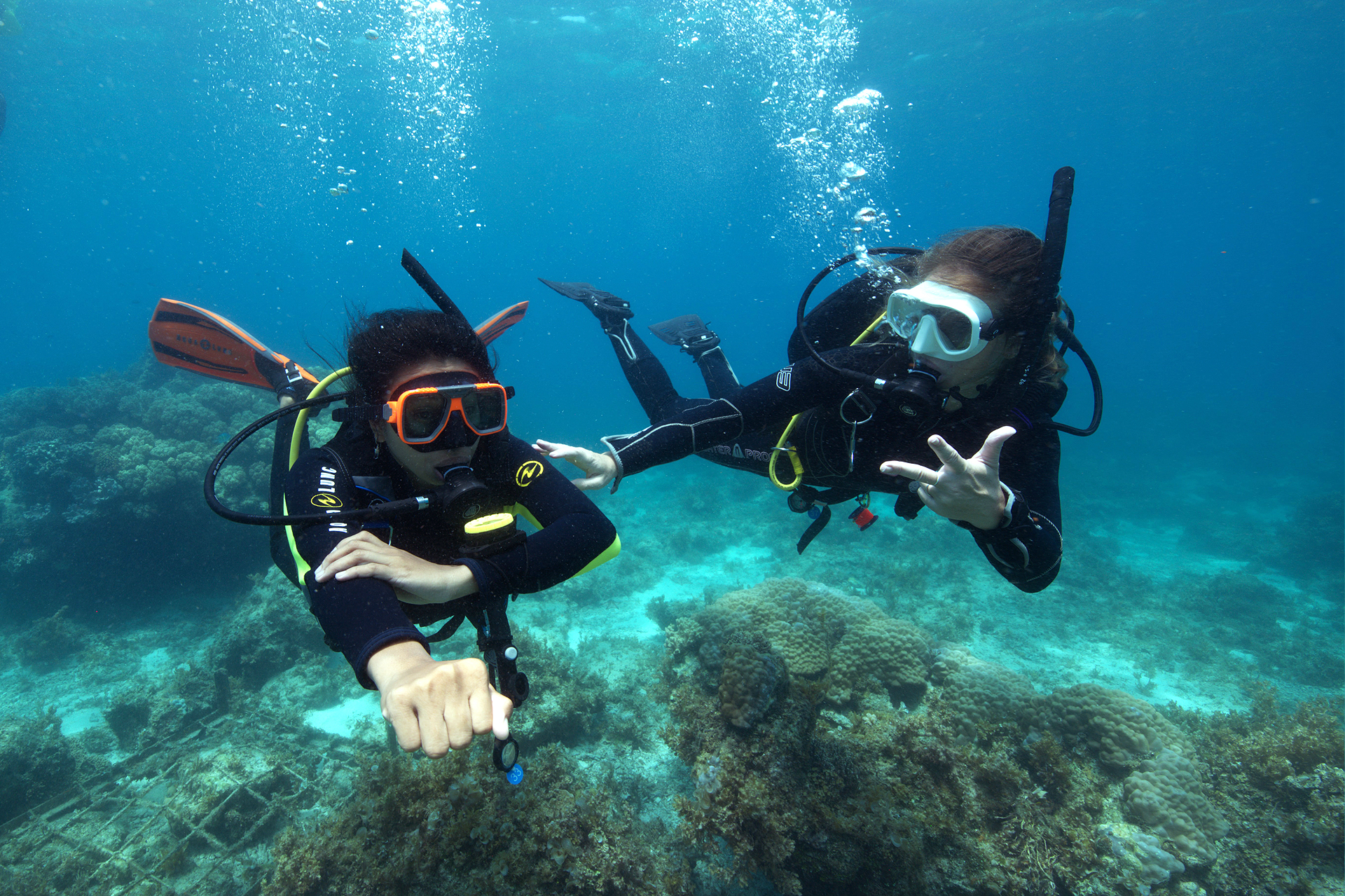 open water diver PADI course Bohol Philippines