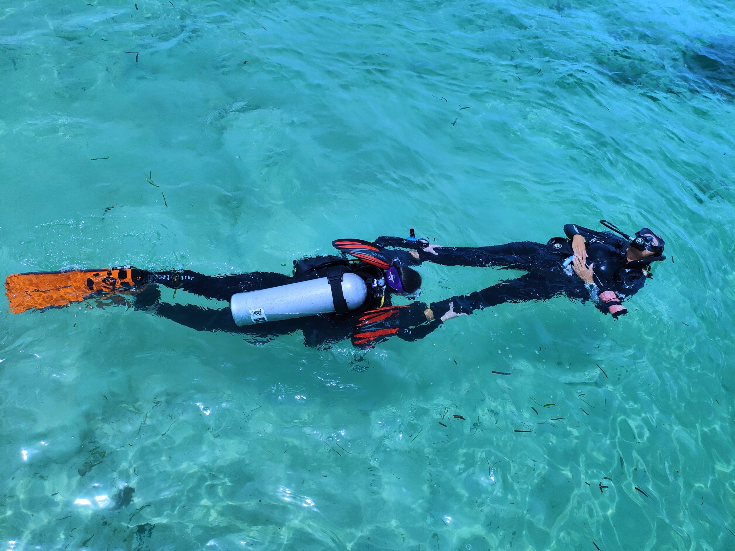 PADI rescue dive course Philippines Bohol Divers Club
